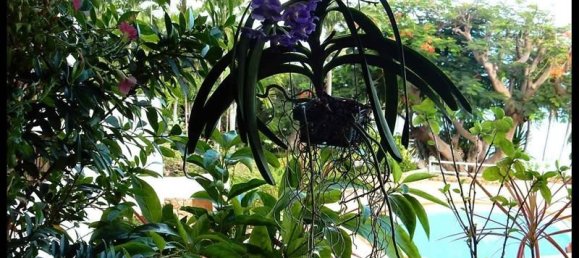 1 bedroom Condo in Pattaya, Thailand No. 3779 9