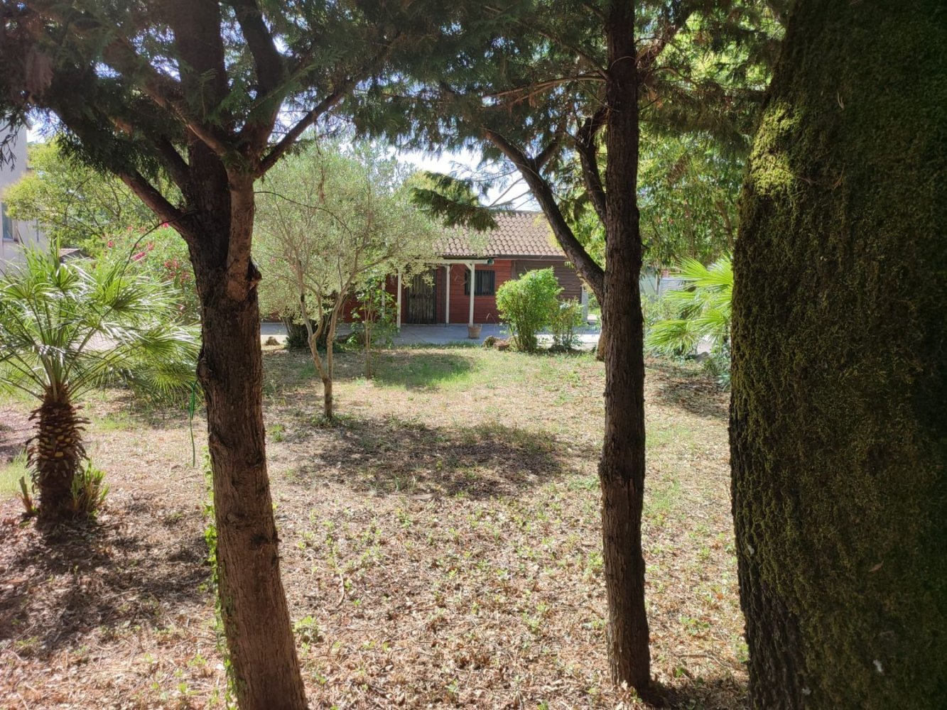 3-Zimmer Haus in Esperia, Italy, Nr. 108785