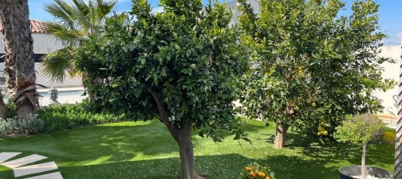 3 bedrooms Villa in Argeliers, France No. 202907 19