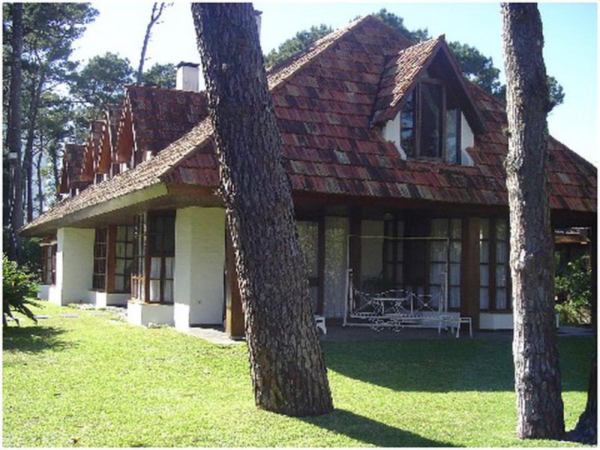 4 bedrooms House in Maldonado, Uruguay No. 5302