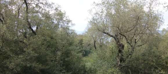 8000m² Hotel in Corfu, Greece No. 5764 5