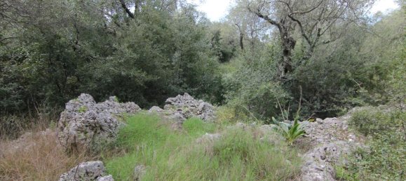 8000m² Hotel in Corfu, Greece No. 5764 2