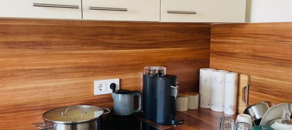 1 chambre Appartement à Offenbach, Germany No. 328856 4