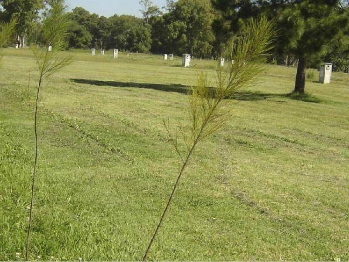 Земельный участок в Берасатеги, Аргентина № 113224