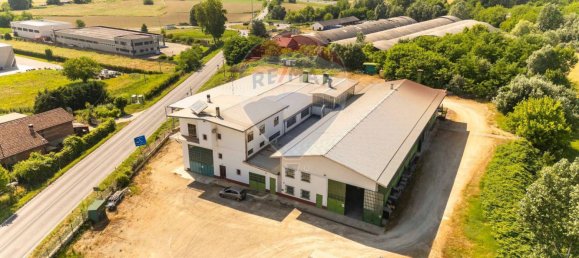 2500m² Commercial property in Baldichieri d'Asti, Italy No. 356209 4