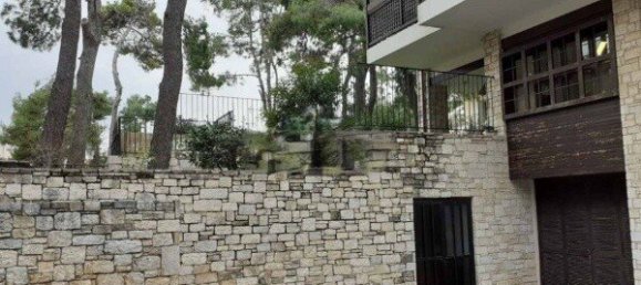 Коммерческая недвижимость 531м² в Аниксис, Греция № 2609 3