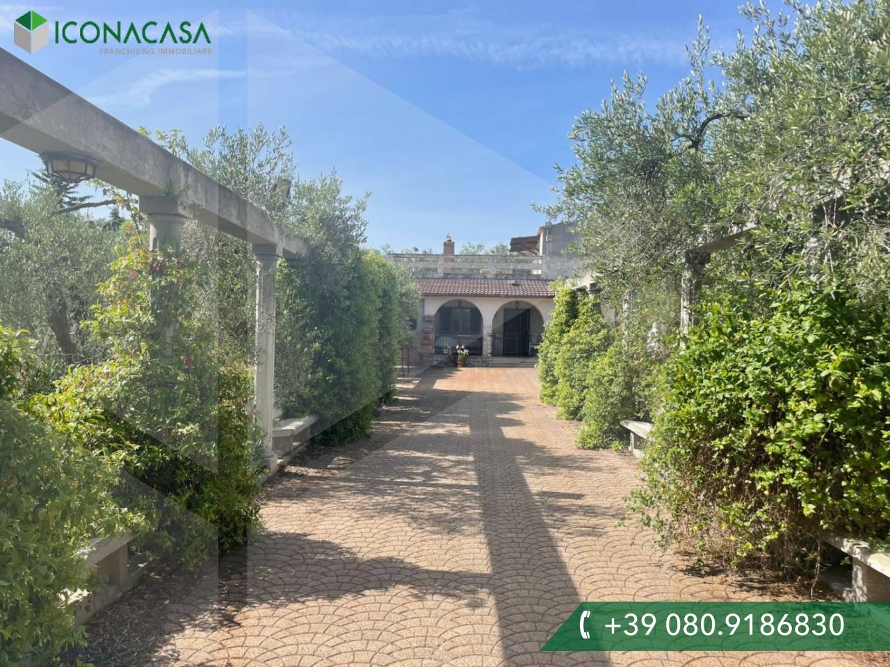 7 rooms Villa in Sannicandro di Bari, Italy No. 29837