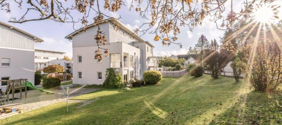 4-salle Propriété commerciale à Ried im Innkreis, Austria No. 3665 2