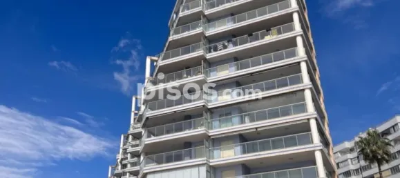 3 غرف نوم بانتهاوس في Calpe, Spain رقم 41174 17