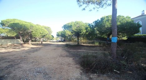 890m² Land in Almancil, Portugal No. 107384