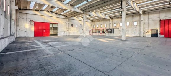 6-salle Entrepôt à Isorella, Italy No. 119449 22