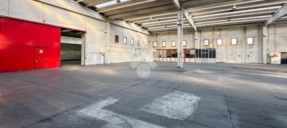 6-salle Entrepôt à Isorella, Italy No. 119449 11