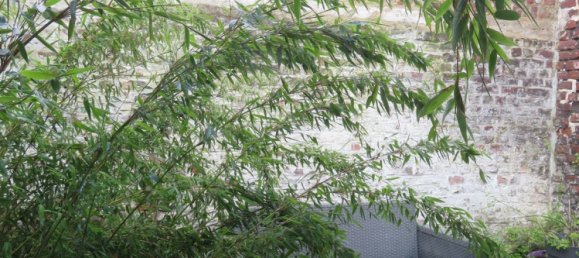 3 غرف نوم منزل في Croix, France رقم 69785 15