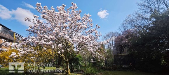 6 rooms Townhouse in Cologne, Germany No. 147172 22