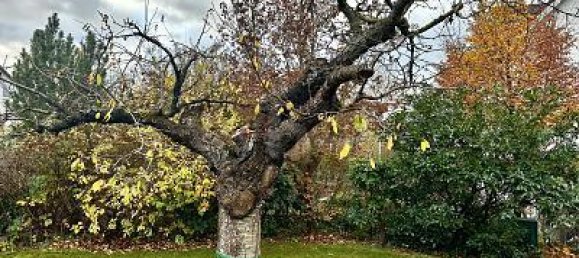 Grundstück in Lichtenrade, Germany 753m², Nr. 224605 3