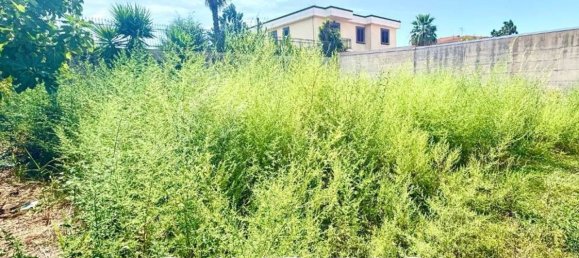  Land in Casal di Principe, Italy No. 372272 5