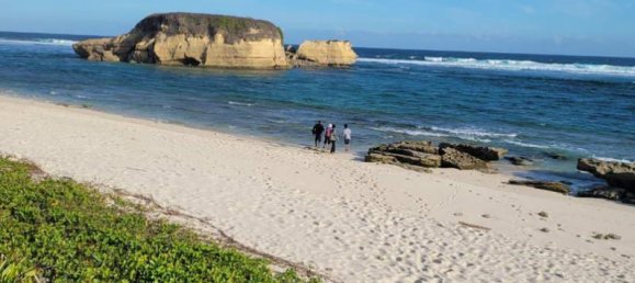  قطعة أرض في West Nusa Tenggara, Indonesia 35016متر مربع رقم 4476 3