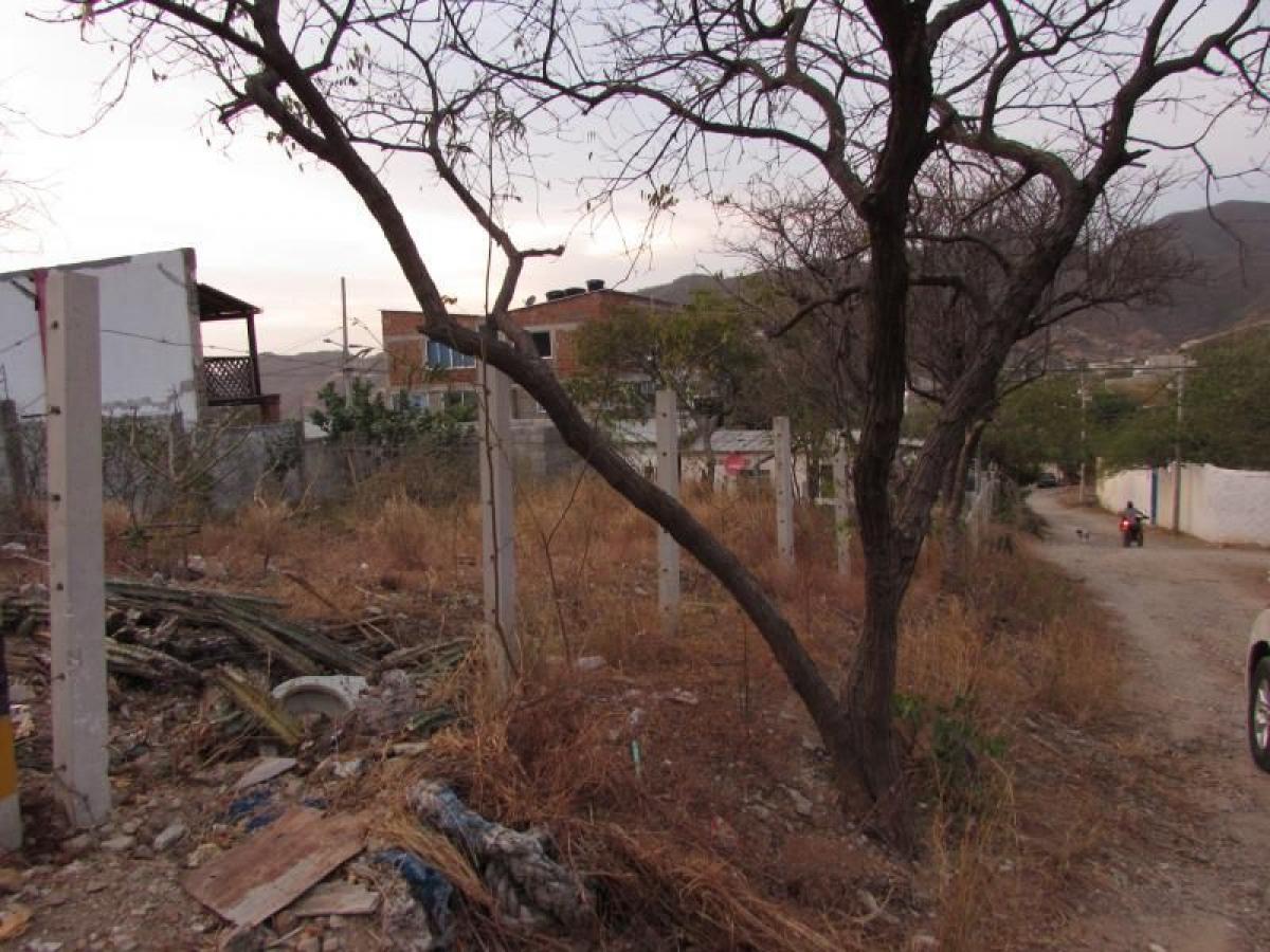  Land in Guadalajara de Buga, Colombia No. 164