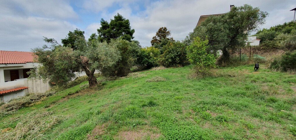 1424m² Hotel in Chalkidiki, Greece No. 3793