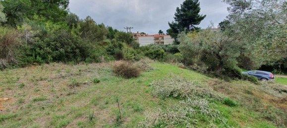 1424m² Hotel in Chalkidiki, Greece No. 3793 2