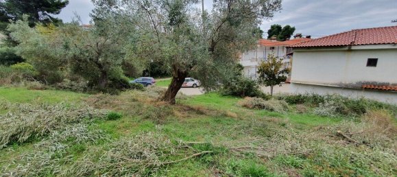 1424m² Hotel in Chalkidiki, Greece No. 3793 3