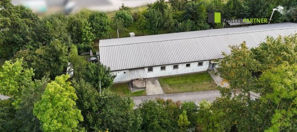 Gewerbliche Immobilie in Aachen, Germany 300m², Nr. 347769 7