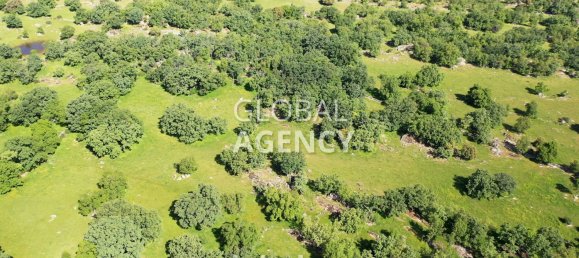 Terreno en El Escorial, Spain 1360000 m² No. 189373 22