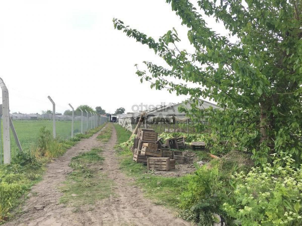 Grundstück in Campo Creado, Argentina, Nr. 50699