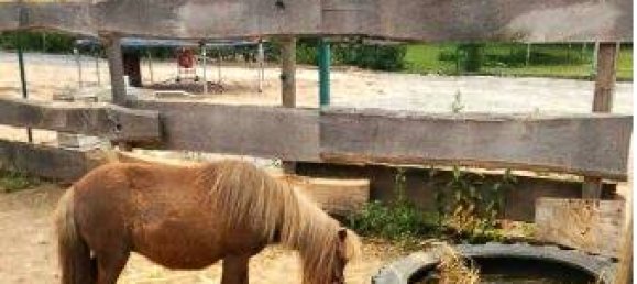 Ферма с 5 комнатами в Гермерсхайм, Германия № 266323 6