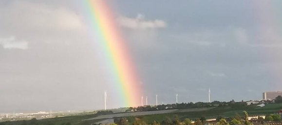 1 غرف نوم شقة في Mainz, Germany رقم 274455 13