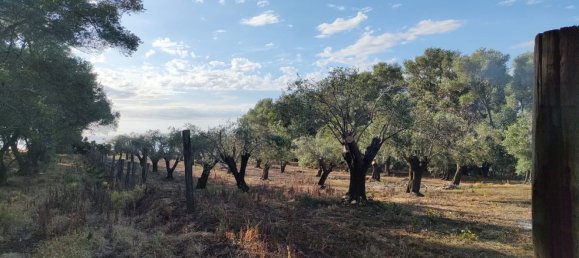 Земельный участок в Палицци, Италия № 372263 3