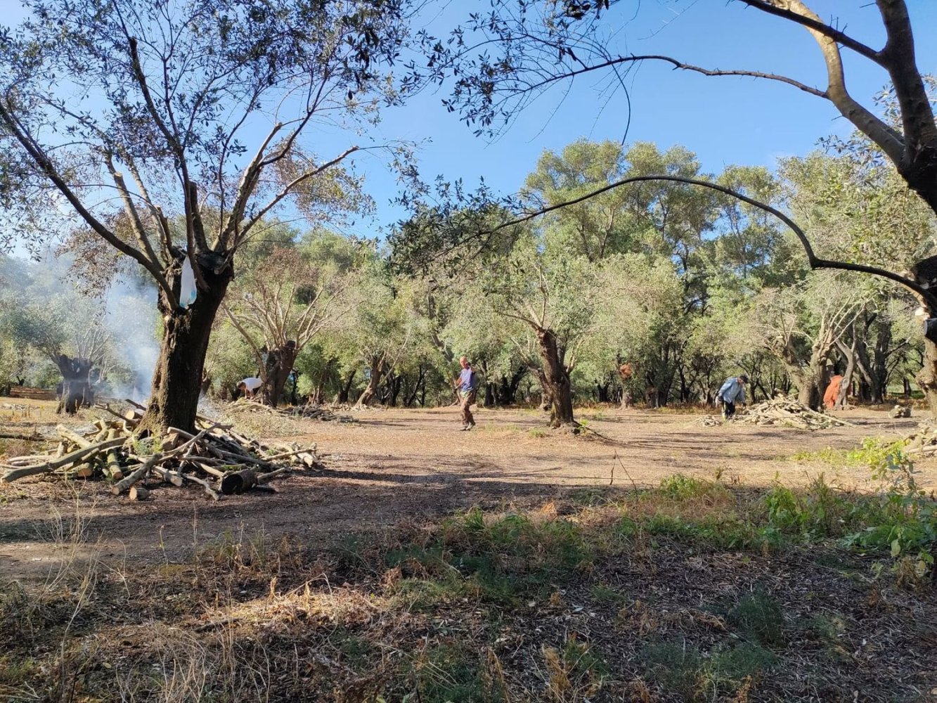 Земельный участок в Палицци, Италия № 372263