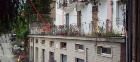 3 rooms Apartment in La Spezia, Italy No. 93838 9