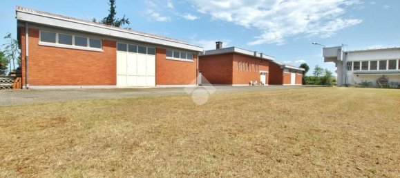  مستودع في Crescentino, Italy 12000متر مربع رقم 103800 16