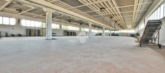  مستودع في Crescentino, Italy 12000متر مربع رقم 103800 9