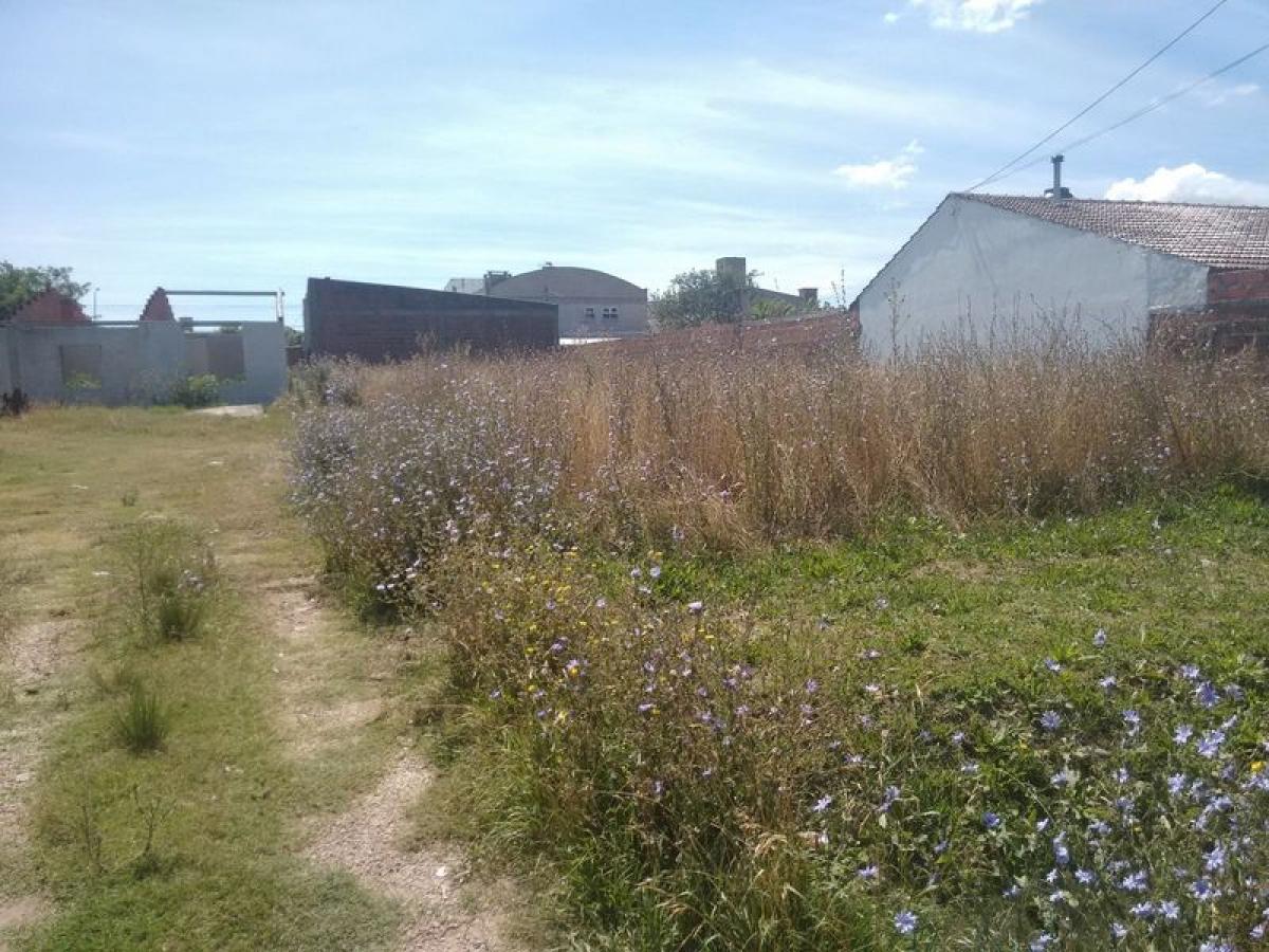  Land in Mar del Plata, Argentina No. 118852