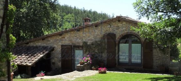 25 rooms Villa in Castellina in Chianti, Italy No. 189585 14