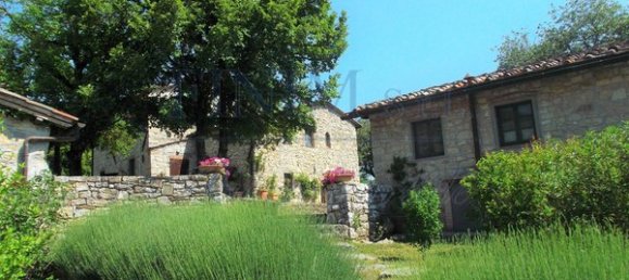 25 rooms Villa in Castellina in Chianti, Italy No. 189585 53