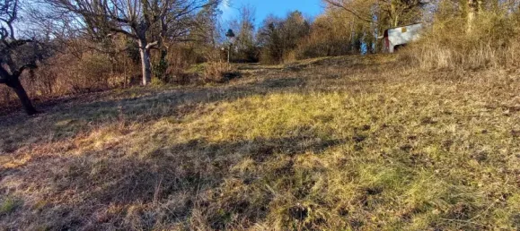 6 غرف نوم منزل في Wurzburg, Germany رقم 10031 17