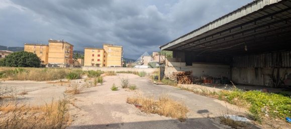 2-Zimmer Lagerhaus in San Felice a Cancello, Italy, Nr. 347435 5