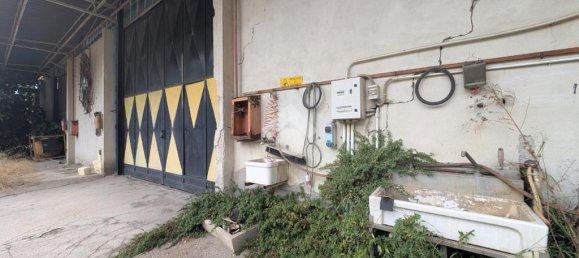 2-Zimmer Lagerhaus in San Felice a Cancello, Italy, Nr. 347435 13