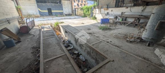 2-Zimmer Lagerhaus in San Felice a Cancello, Italy, Nr. 347435 17