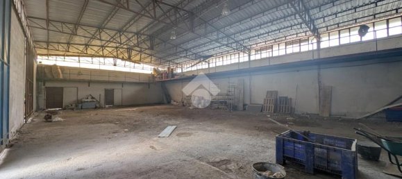 2-Zimmer Lagerhaus in San Felice a Cancello, Italy, Nr. 347435 19