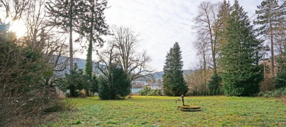  Land in Pressbaum, Austria No. 50072 6