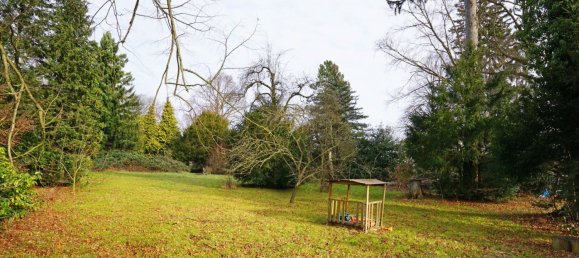  Land in Pressbaum, Austria No. 50072 2