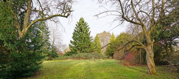  Land in Pressbaum, Austria No. 50072 4