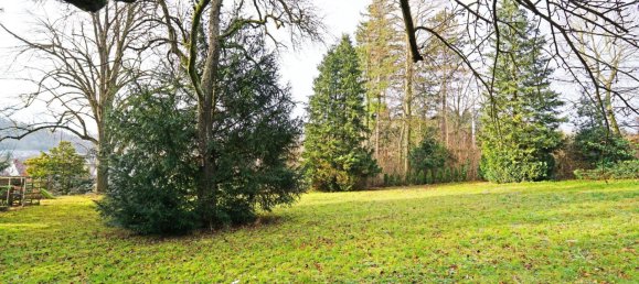  Land in Pressbaum, Austria No. 50072 3
