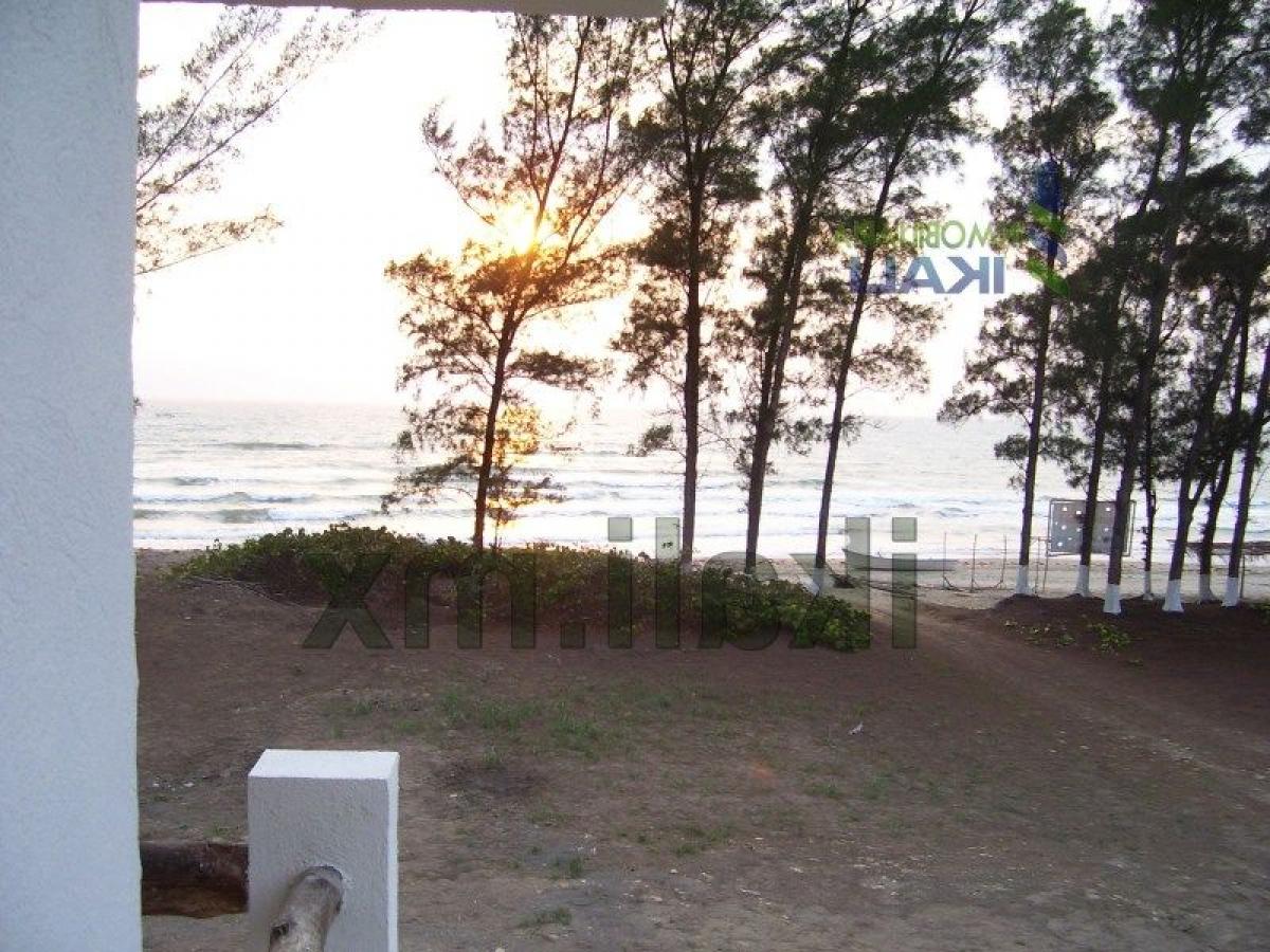  قطعة أرض في Veracruz, Mexico رقم 206921