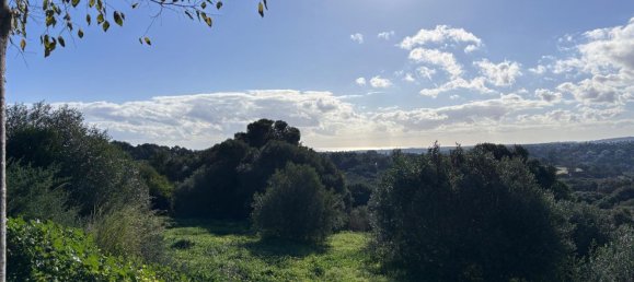 Terreno en Cádiz, Spain 2690 m² No. 82836 4