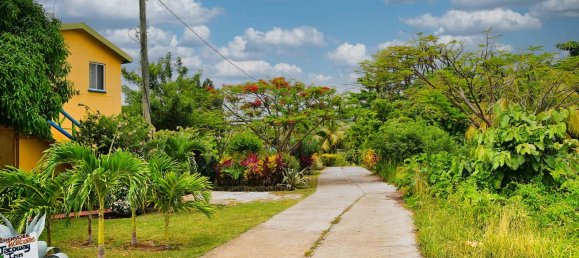 Земельный участок с 7 спальнями в Калибиши, Доминика № 27 14